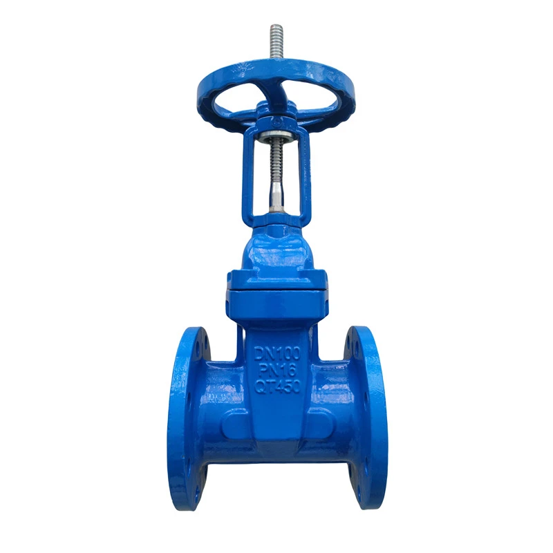 Double Flanged Gate Valve