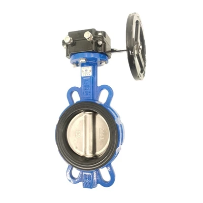 Introduction to Globe Valve