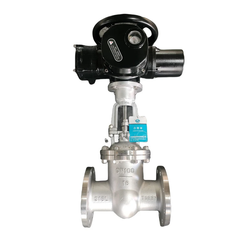 Motorized Sluice Valve
